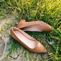 Giày Big Size Sò Shop