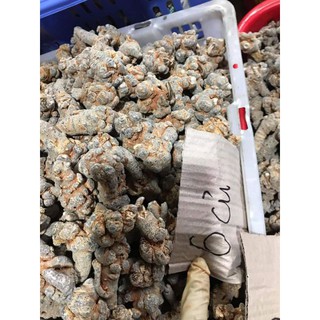 Tam thất 60 củ 1kg