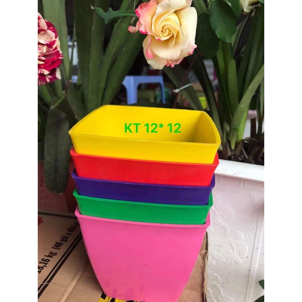 Chậu nhựa vuông V12 trồng hoa cây cảnh văn phòng  hàng loại 1 KT 12x12x10cm
