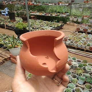 Chậu đất nung trồng sen dạng lu xẻ