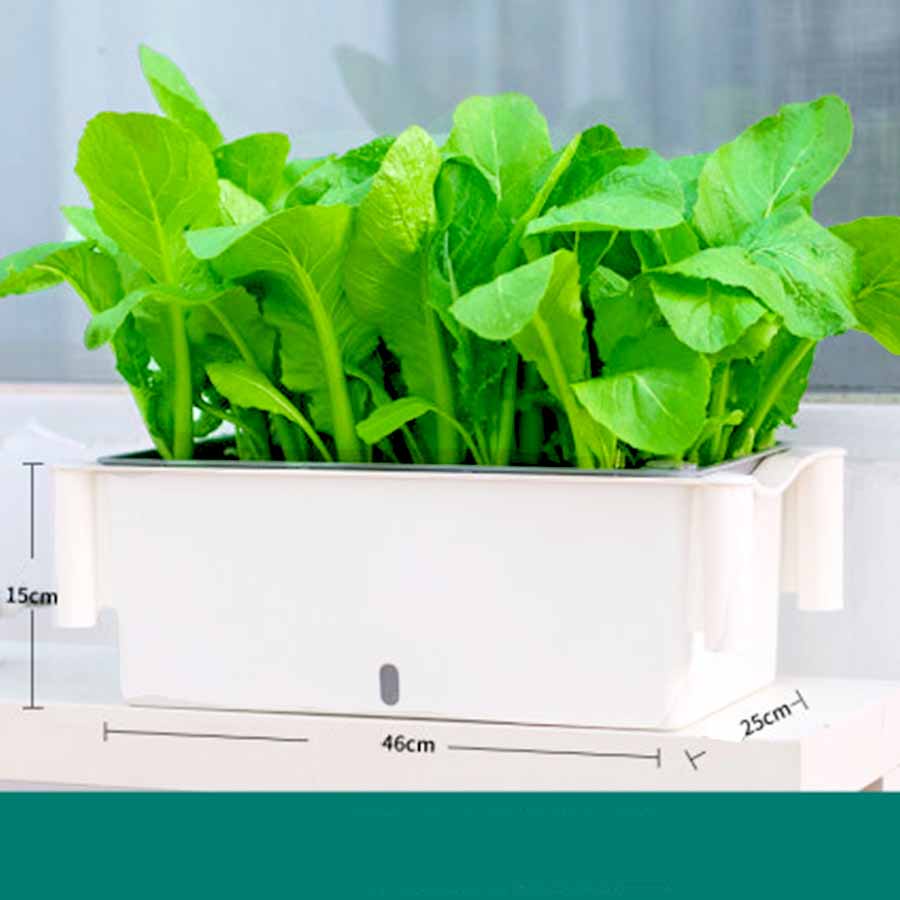 Giá trồng rau tự dưỡng 3 tầng Không cần tưới nước Kệ trồng rau thông minh cho sân thượng ban công