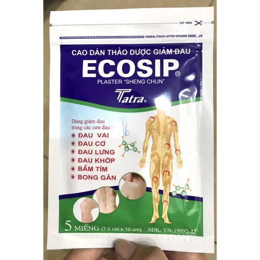 ECOSIP THẢO DƯỢC GIẢM ĐAU 1GÓI / 5MIẾNG