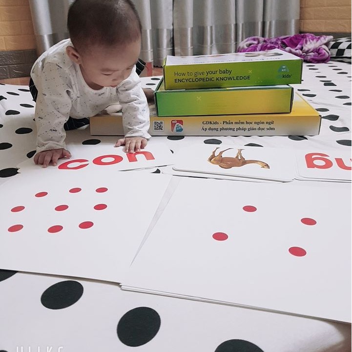 THẺ HỌC TOÁN NÂNG CAO 109 THẺ- FLASHCARD CHUẨN PP GLENN DOMAN- THẺ DOT TOÁN CHUYÊN SÂU