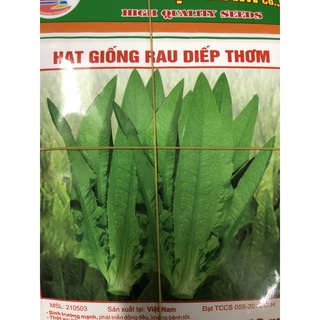Hạt giống Rau diếp thơm
