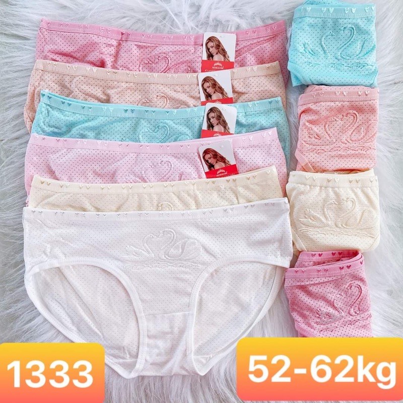 Sỉ 10 quần lót cotton thông hơi