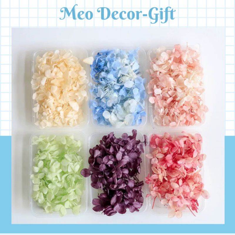 Hoa khô cẩm tú cầu làm resin- nail- nến thơm- make up cô dâu