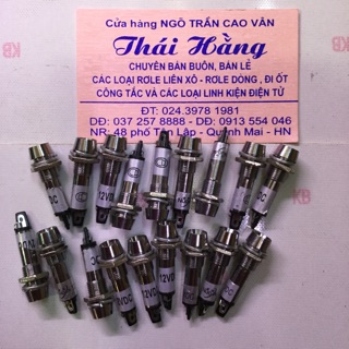 Đèn báo sắt 12 v phi 8 mm(10 chiếc)