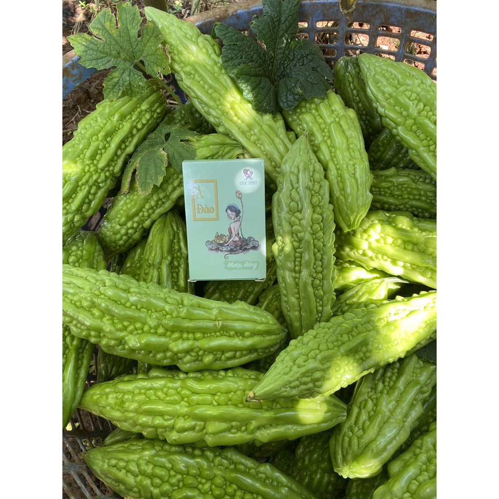 Xà bông Mướp đắng Soap ả đào Mướp đắng Mộc Nhan / Giảm mụn, giảm thâm sẹo | BigBuy360 - bigbuy360.vn