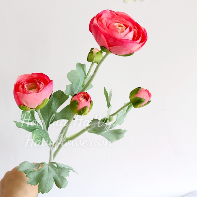 Cành Hoa Trà, Hoa Mao Lương _ Hoa Giả