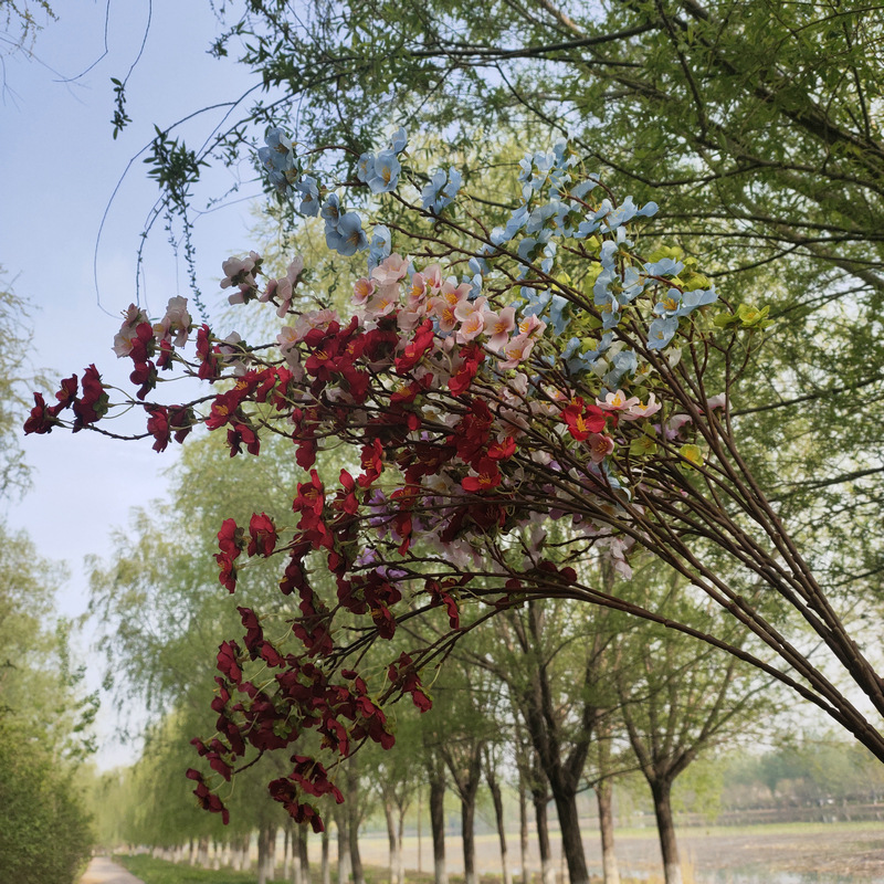 6 Nhánh Hoa Anh Đào Nhân Tạo Dùng Trang Trí Tiệc Cưới / Studio