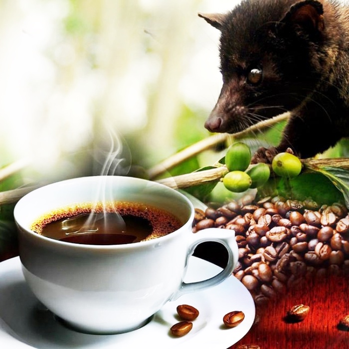 Cà Phê Hạt Chồn ANNAM G20 Coffee Gói 250g | BigBuy360 - bigbuy360.vn