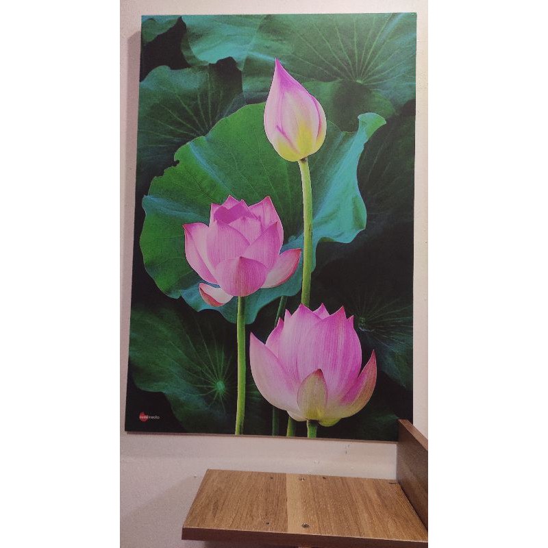 Tranh gỗ hoa sen cỡ 30x45, 40x60, ép gỗ lụa cực đẹp, in sắc nét