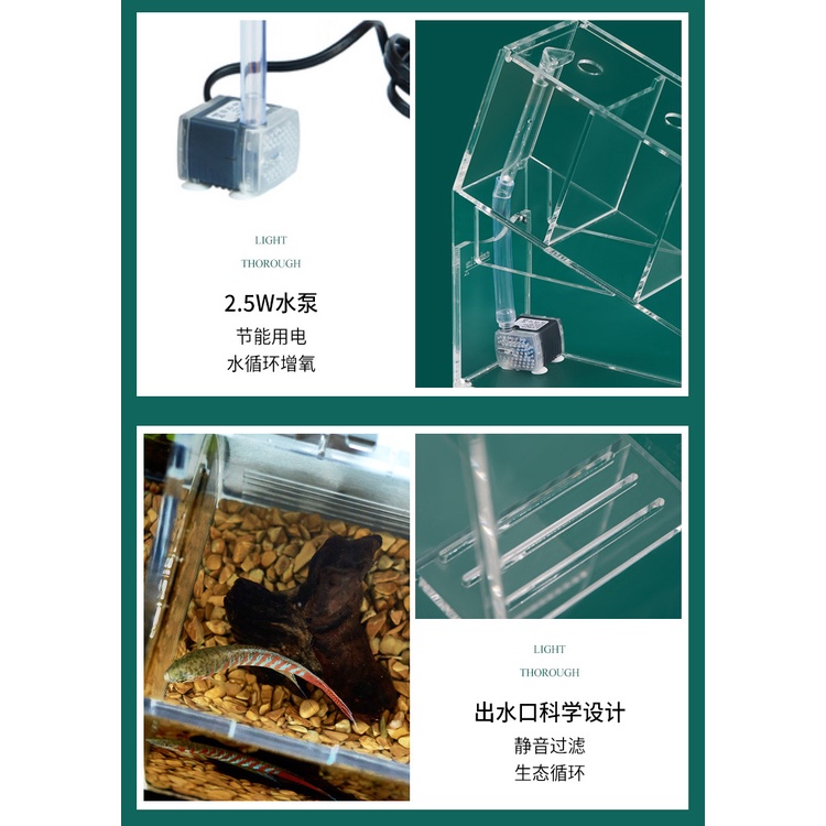 Bể Cá Sáng Tạo Bể Cá Nhỏ Acrylic Để Bàn Đa Ngăn Cách Ly Tự Tuần Hoàn Lọc Không Thay Nước