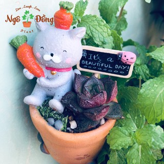 Chậu Cây Mô Hình Chú Mèo Ôm Củ Cà Rốt Ngộ Nghĩnh Trồng Sen Đá Xương Rồng Để Bàn Làm Việc Trang Trí Văn Phòng