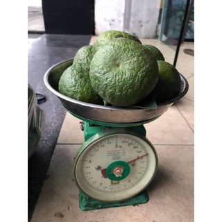 cam sành cam trái lớn mọng nước 3,4 trái 1 kí