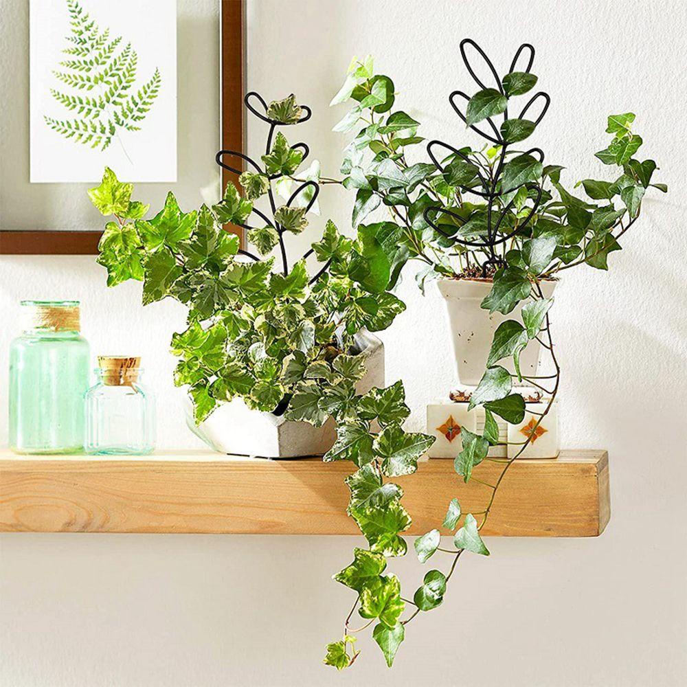 Giá Đỡ Trồng Cây Dây Leo Bằng Kim Loại Chống Rỉ