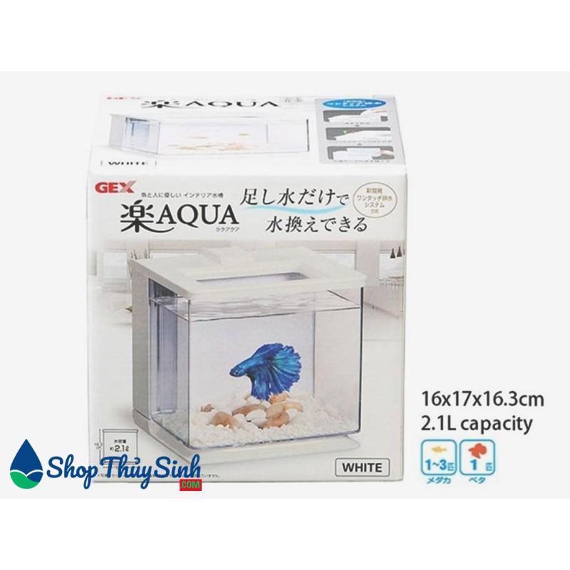 Bể cá mini dành cho cá Beta Gex Easy Aqua Tank