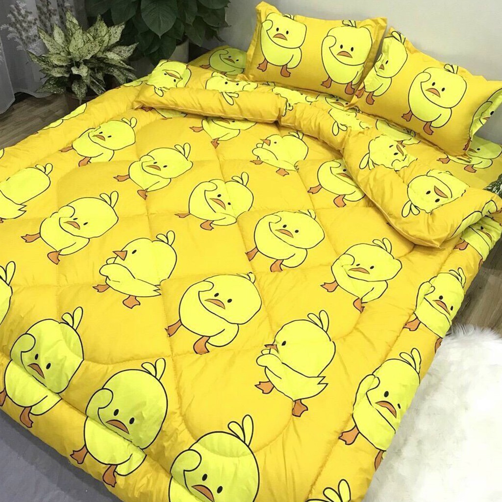 Ga gối Poly Hàn Quốc Bộ Ga Gối Cotton Hàn thoáng mát mềm mịn GGX02 Gosan Bedding | BigBuy360 - bigbuy360.vn