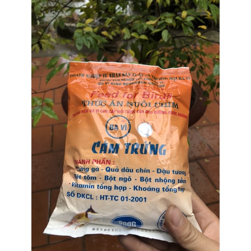 Cám trứng Ba Vì ( k team) thức ăn chim cảnh - Mồi câu cá