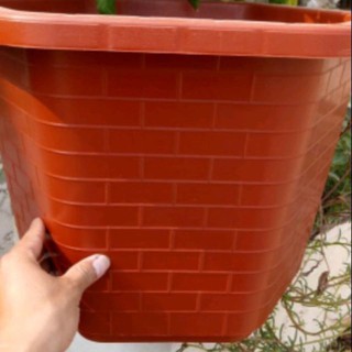 Chậu lục giác rộng 30cm x20cm hàng nhập khẩu và phân phối chính hãng.
