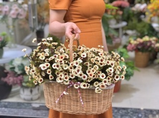 Giỏ mây tre đan picnic - Hàng VNXK