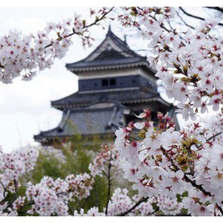 IKiGai - Hàng Nhật Nội Địa