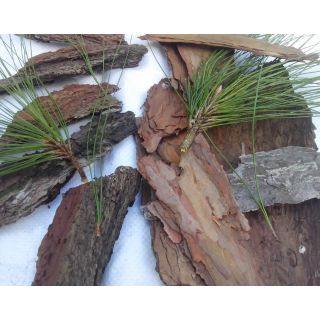 Vỏ thông miếng to để trồng lan 500gr