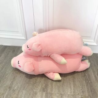 Heo hồng nằm little cucu