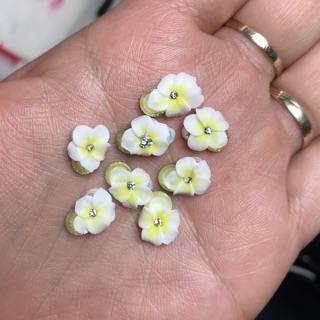 Hoa bột đính móng chân và tay