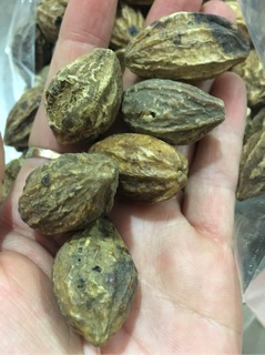 Quả kha tử (1kg)