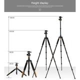 Chân máy ảnh Tripod/ Monopod Beike Q-570