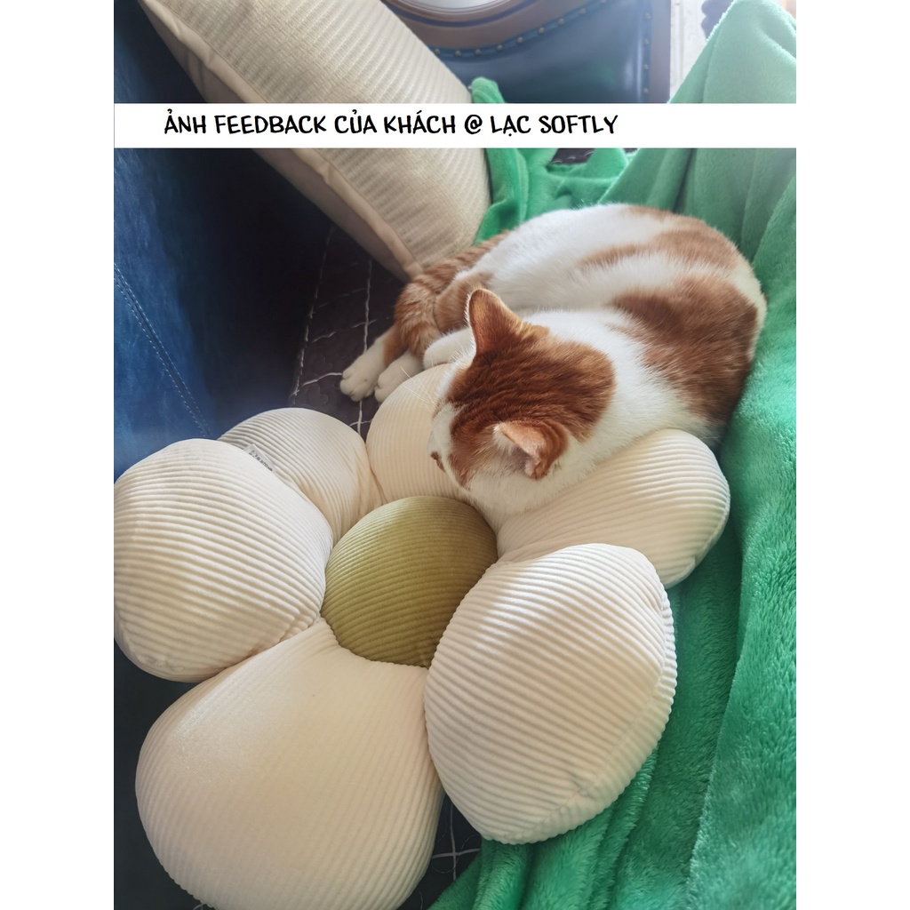 Order | Gối decor hoa cúc  phong cách bắc âu siêu hot