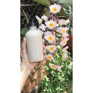 HẠT KÊ NẾP VÀNG NGHỆ AN