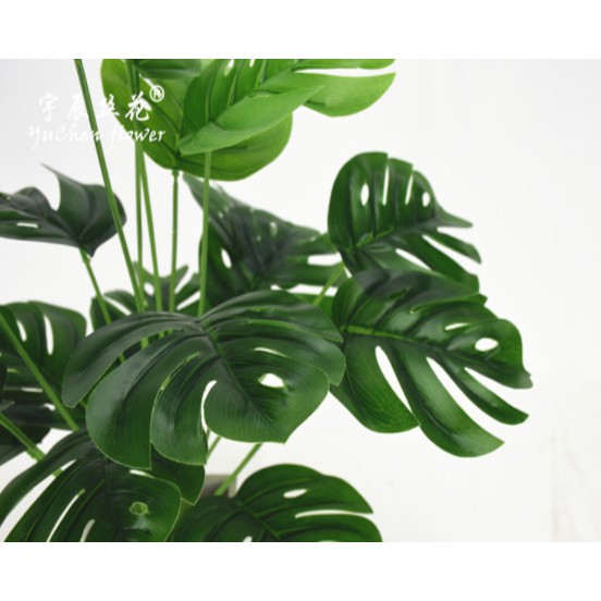 Cây lá rùa giả phù hợp decor trong và ngoại nội thất, lá to cao 50cm