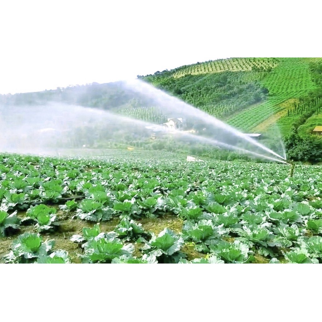 B-915-5 BÉC chỉnh góc đuôi cá ren ngoài 21