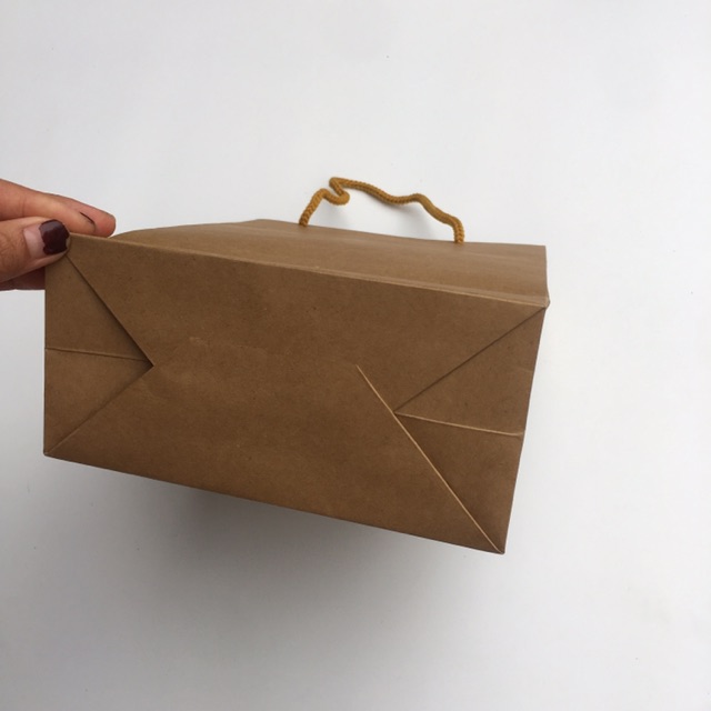 Túi giấy kraft nâu nhật giấy siêu dày, cực đơn giản và sang trọng - Phụ kiện Halu