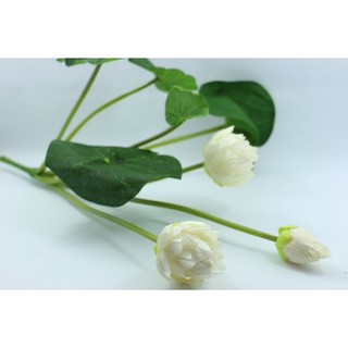 Hoa lụa/ Hoa sen nhí trang trí
