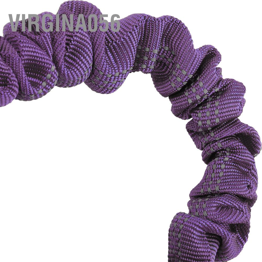 Dây DẫN Thú Cưng Đi DạO 2.46ft