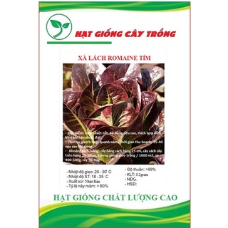 Hạt giống xà lách romaine đỏ ct97 - gói 0.2gram
