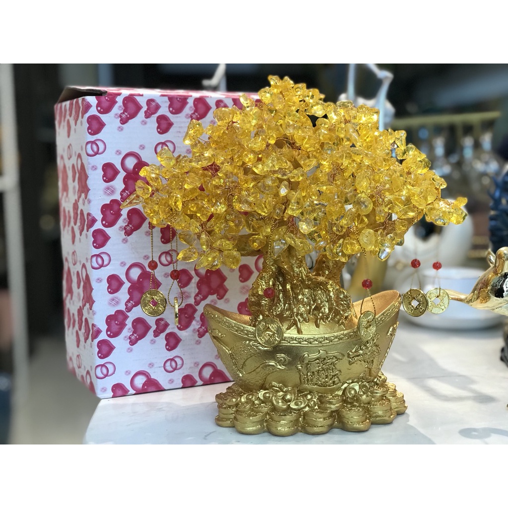 Cây thần tài, cây tài lộc chậu thỏi vàng phát tài phát lộc