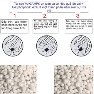 Phân Trắng Tan Chậm Nhật HYPONEX - MAGAMP K - 100g
