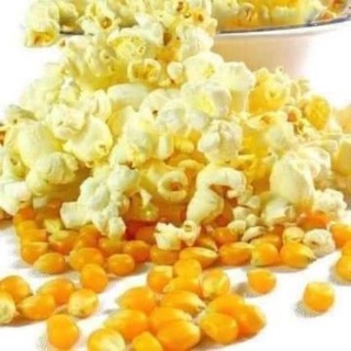 500g bắp mỹ nguyên hạt, bắp nổ, bắp rang bơ, thức ăn cho vẹt, gà, vịt