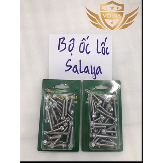 Full BỘ Ốc Lốc Máy Salaya Winner - Sonic - Raider - Satria - Exciter, Future (2016-2020)