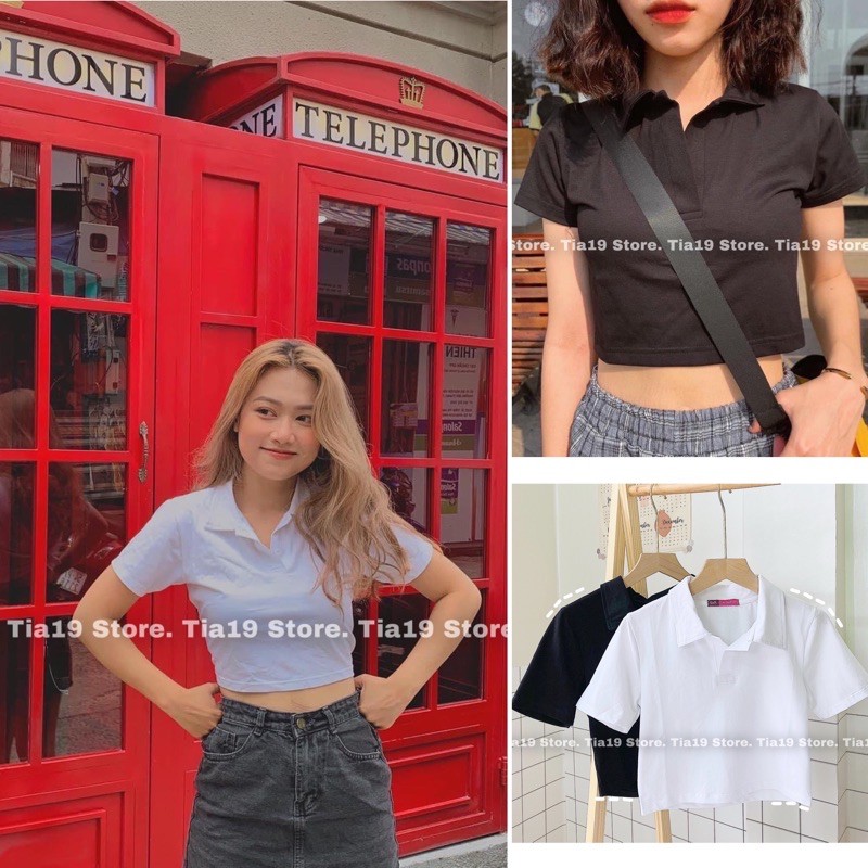 Áo polo croptop Tia19 ( ẢNH THẬT)