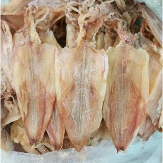 Mực Khô Câu (size 20-25 con/kg)
