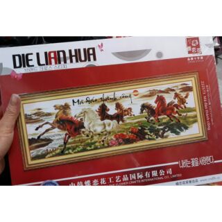 Kit tranh chưa thêu 2m4*85