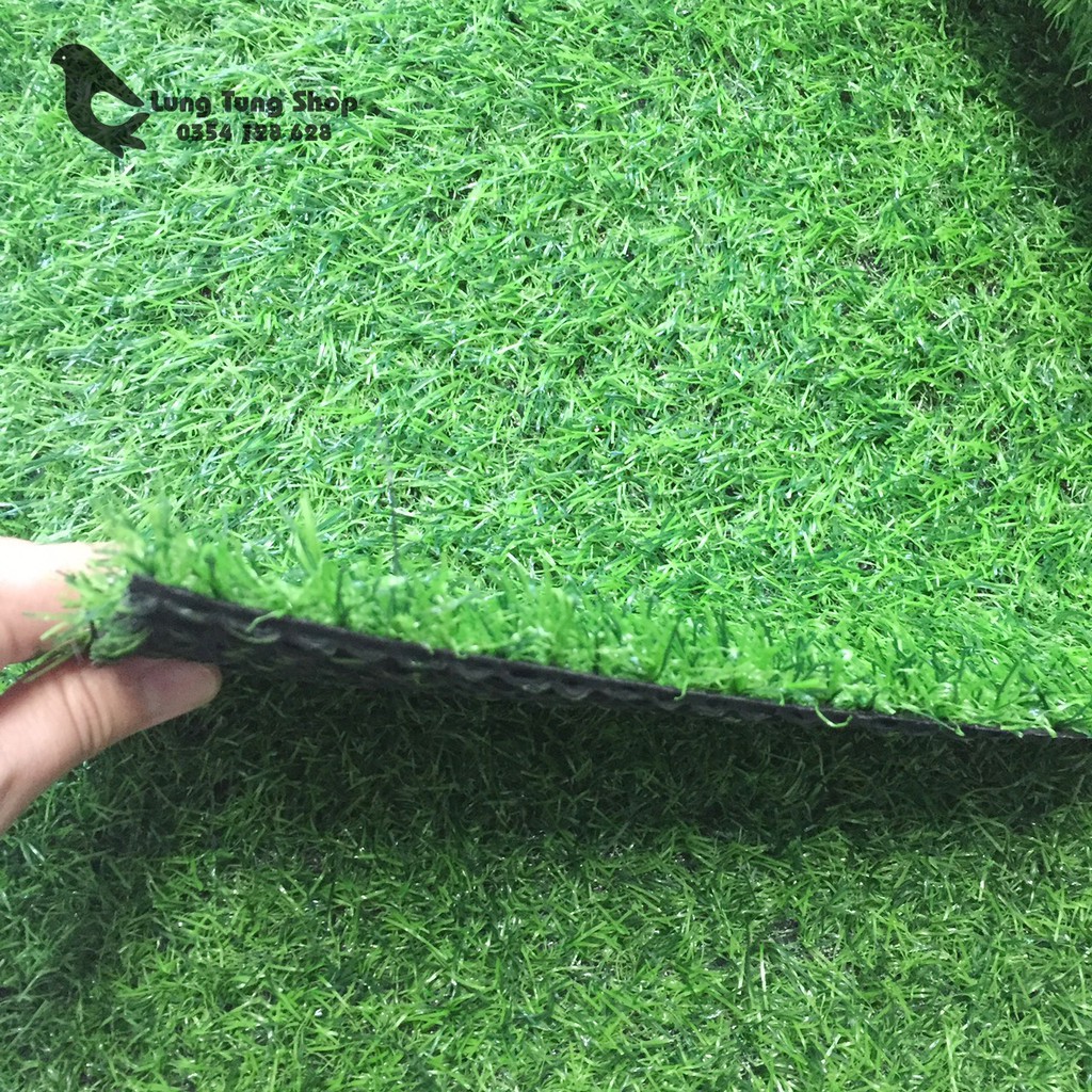 Thảm cỏ nhựa giá rẻ
