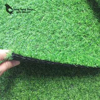 Thảm cỏ nhựa giá rẻ