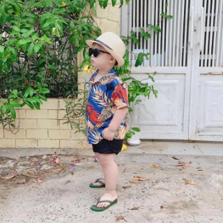 Set bộ bé trai hoa lá cành