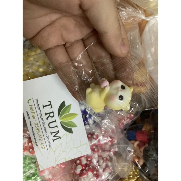 Mèo Baby Dễ Thương Lớn mô hình trang tri tiểu cảnh sen đá -terrariuma